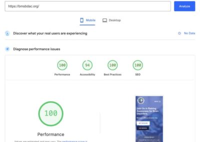 Google Pagespeed Scan